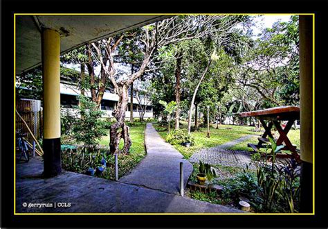 molave residence hall|Molave Residence Hall Association.